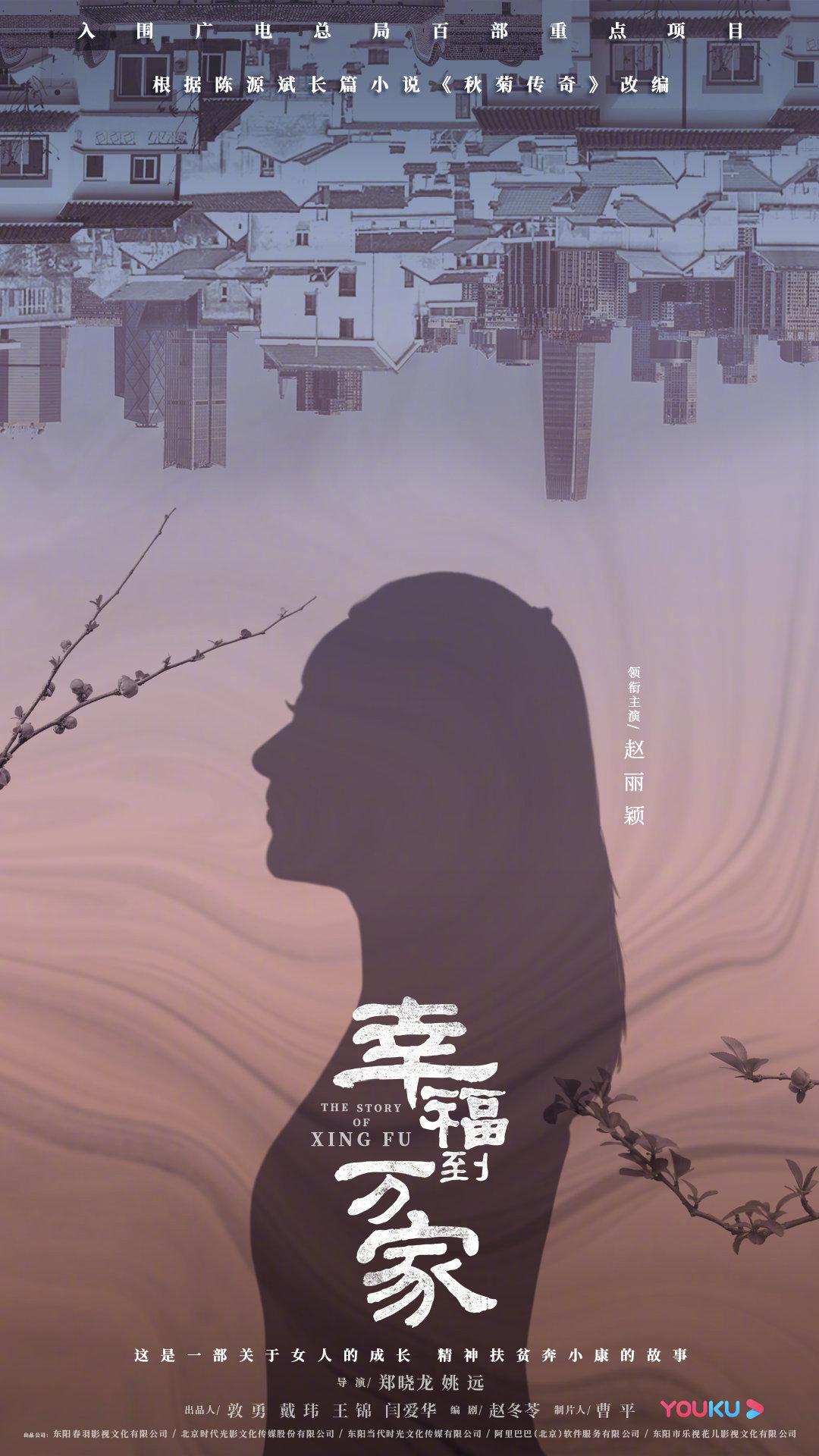 幸福到万家的海报-预告海报