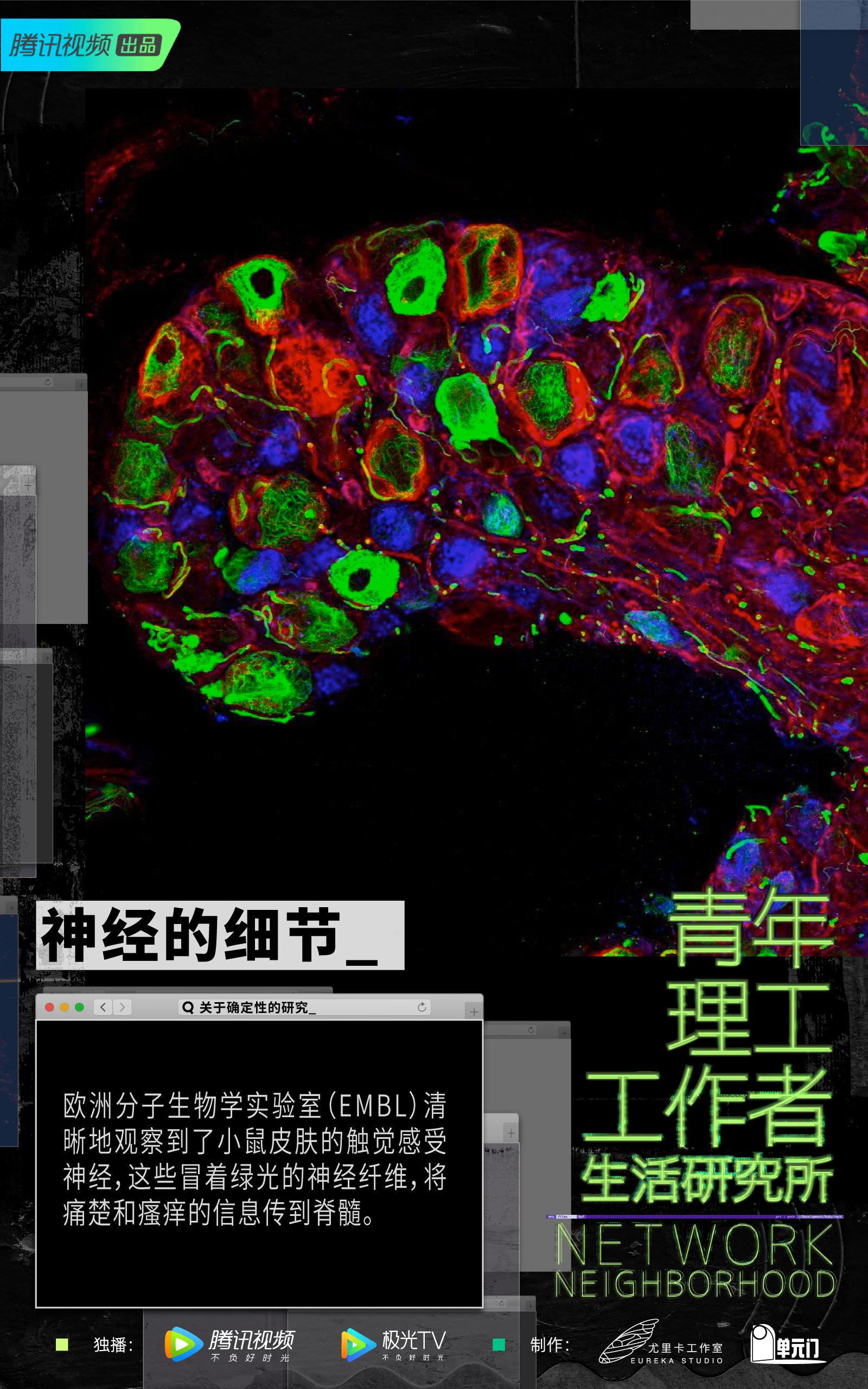 青年理工工作者生活研究所的海报-预告海报 中国大陆