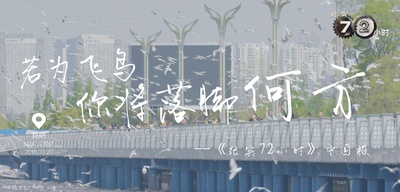 纪实72小时(中国版)的海报-其他海报 中国大陆