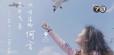 纪实72小时(中国版)的海报-其他海报 中国大陆