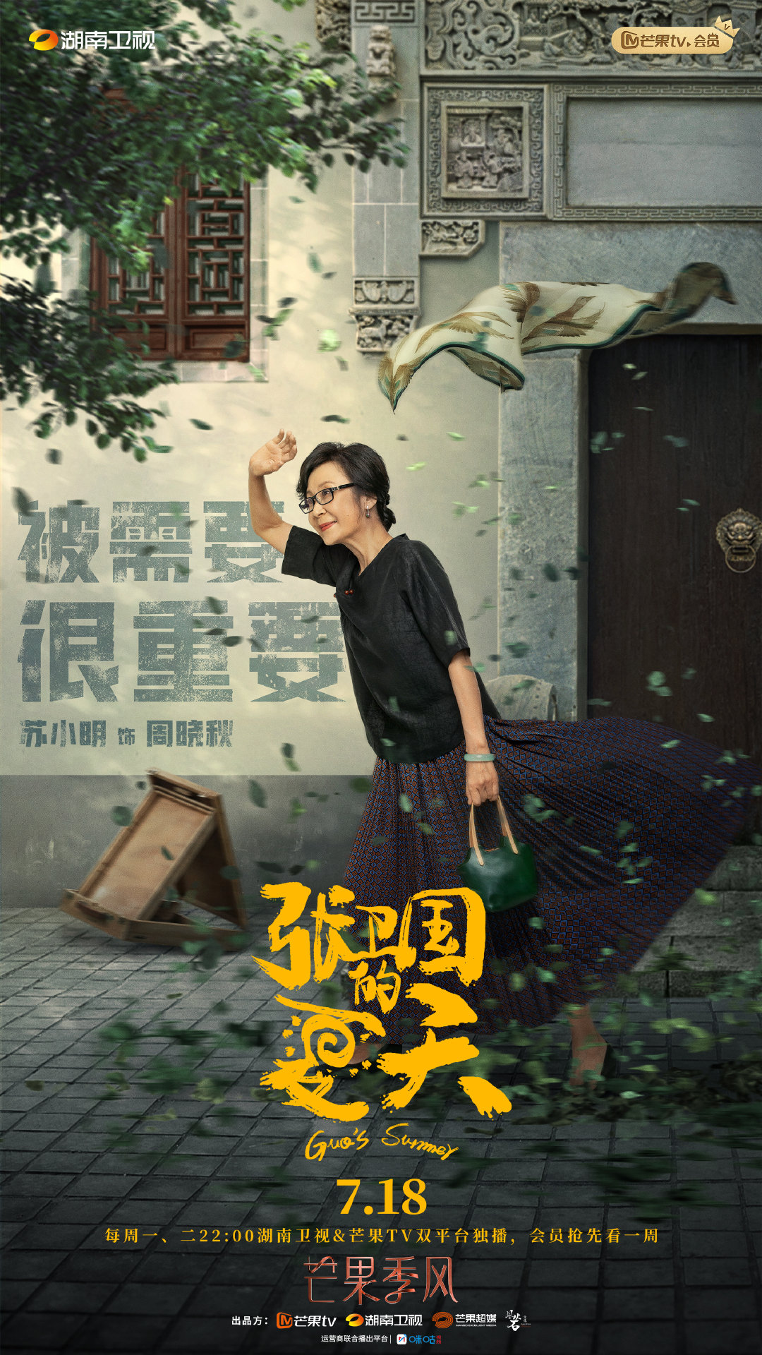 张卫国的夏天的海报-角色海报 中国大陆