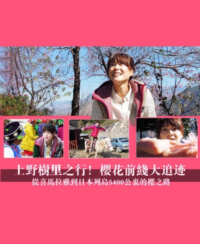 上野树里之行！樱花前线大追迹～从喜马拉雅到日本列岛5400公里的樱之路~的海报-正式海报