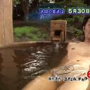 安田显