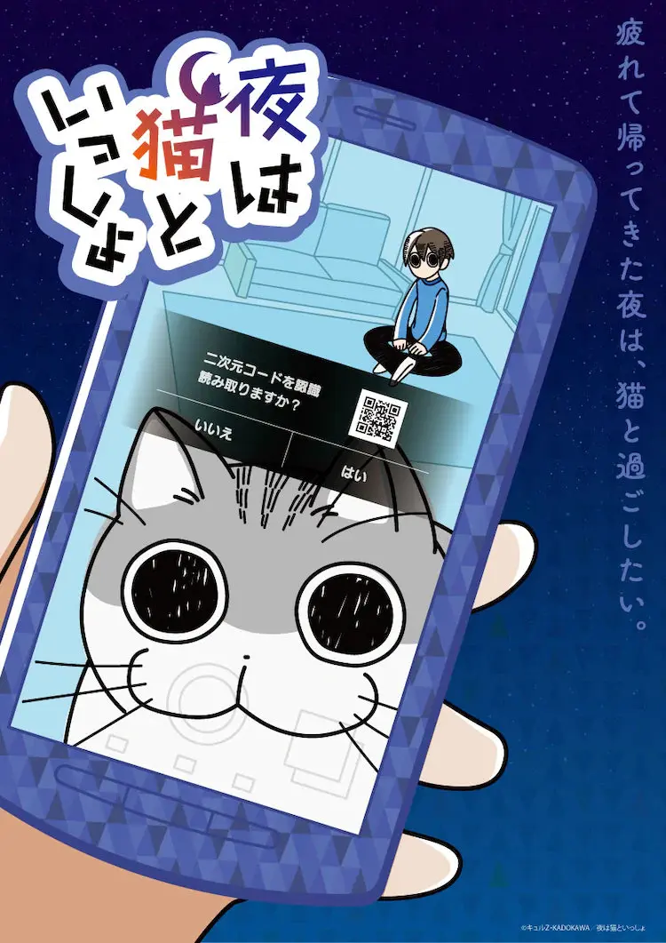 关于养猫我一直是新手的海报-正式海报