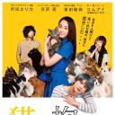 猫是要抱着的