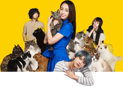 猫是要抱着的的海报-预告海报 日本