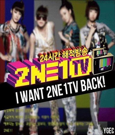 2NE1TV 第一季的海报-正式海报