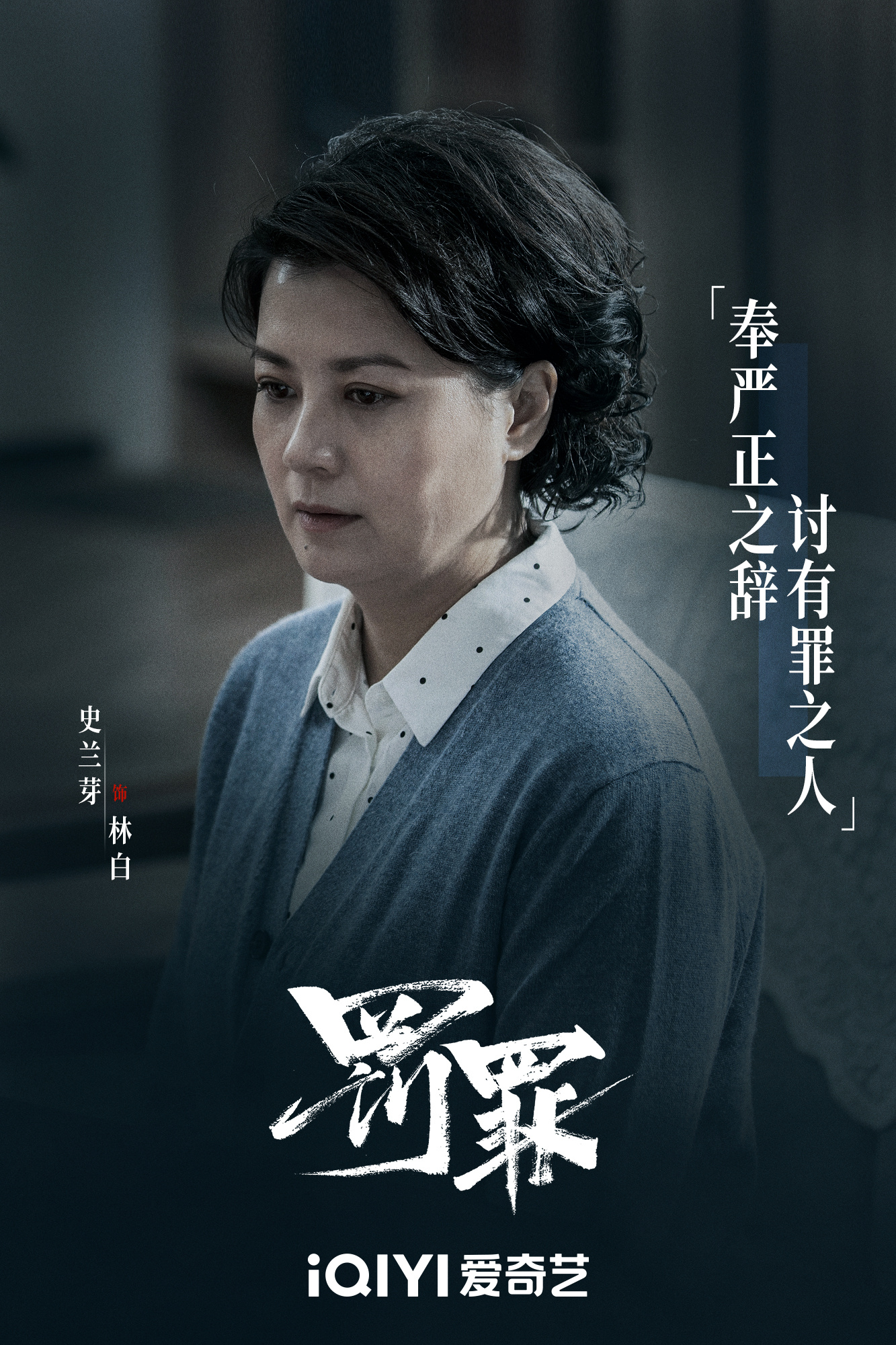 罚罪的海报-角色海报 中国大陆