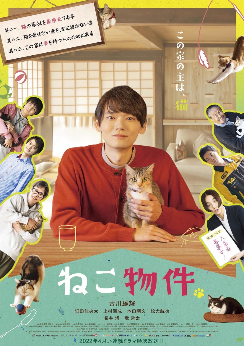 猫物件的海报-正式海报