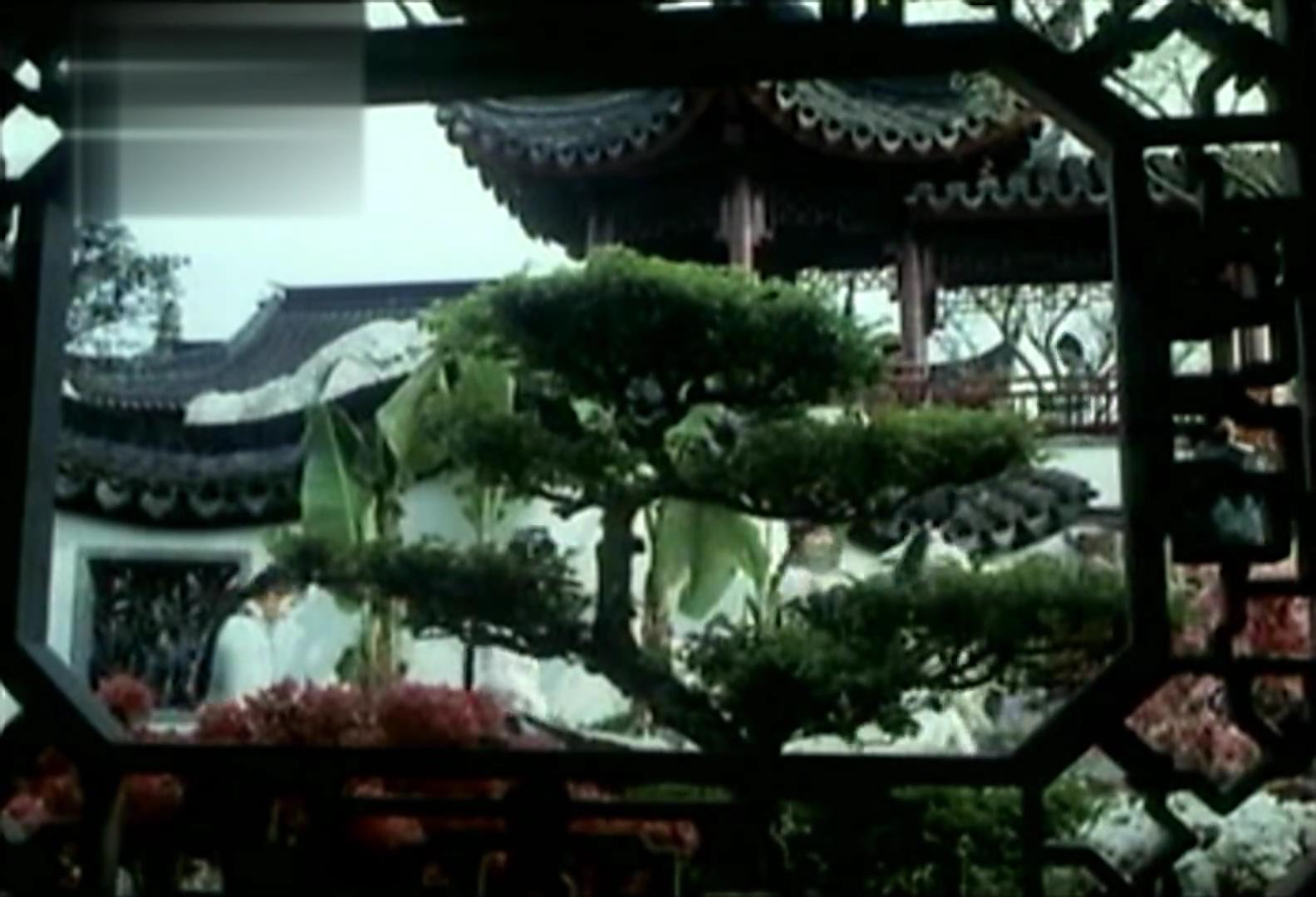 红楼梦 Ⅴ 晴雯夭亡剧照的剧照