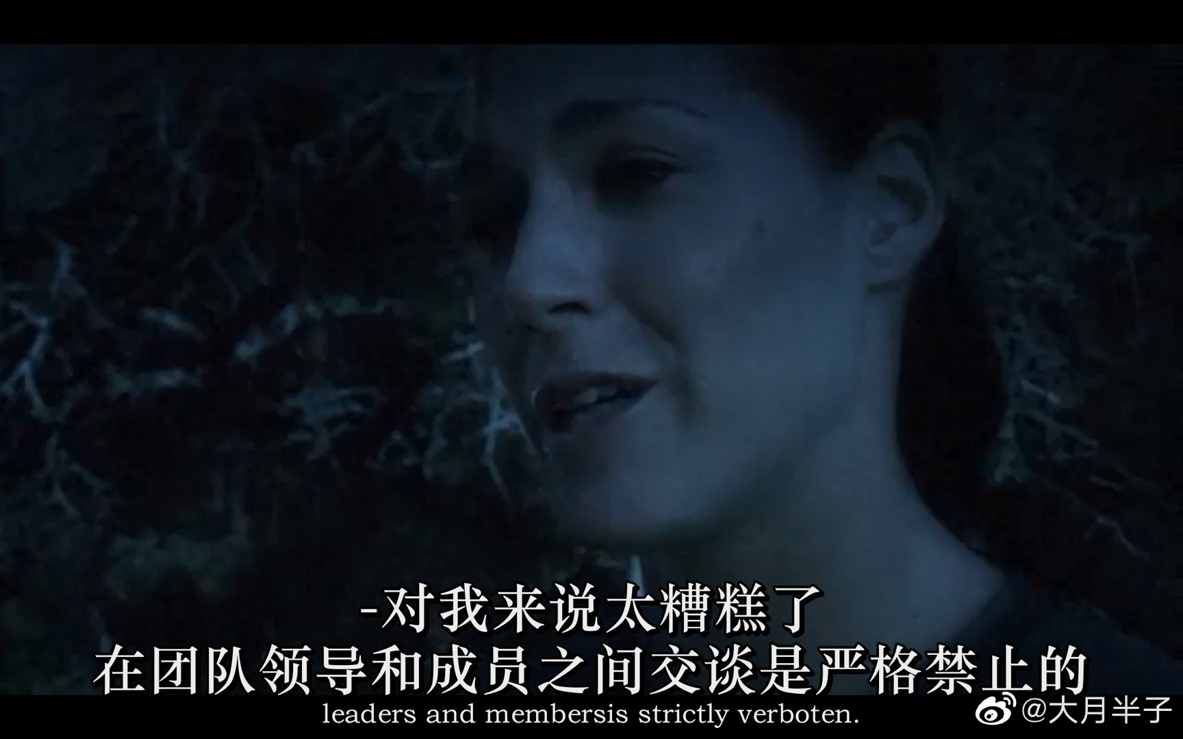 我没来这里死去剧照的剧照