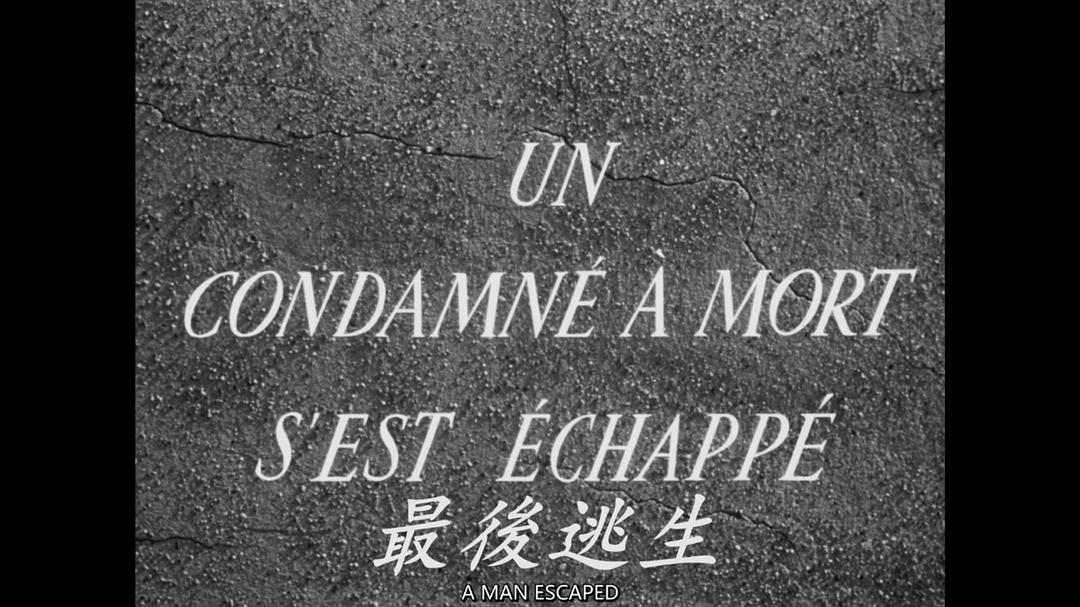 死囚越狱剧照的剧照
