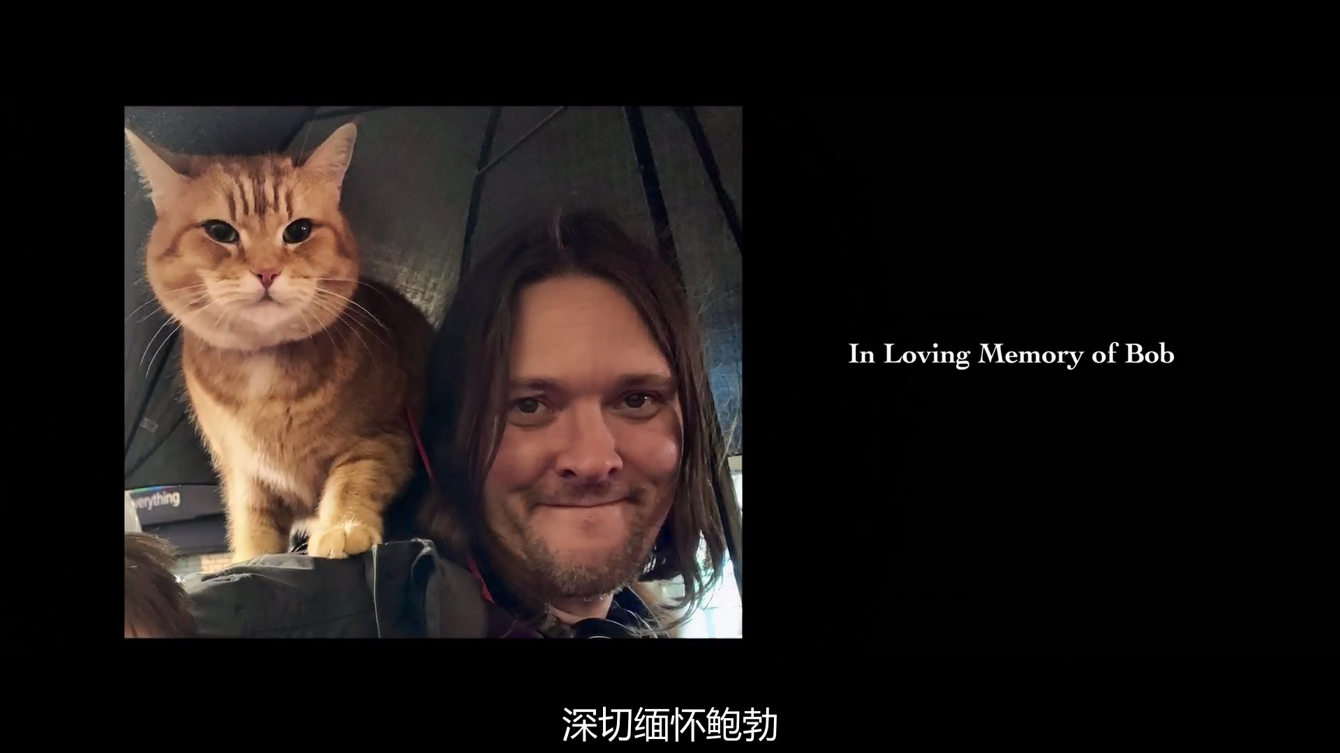 鲍勃的圣诞礼物剧照的剧照