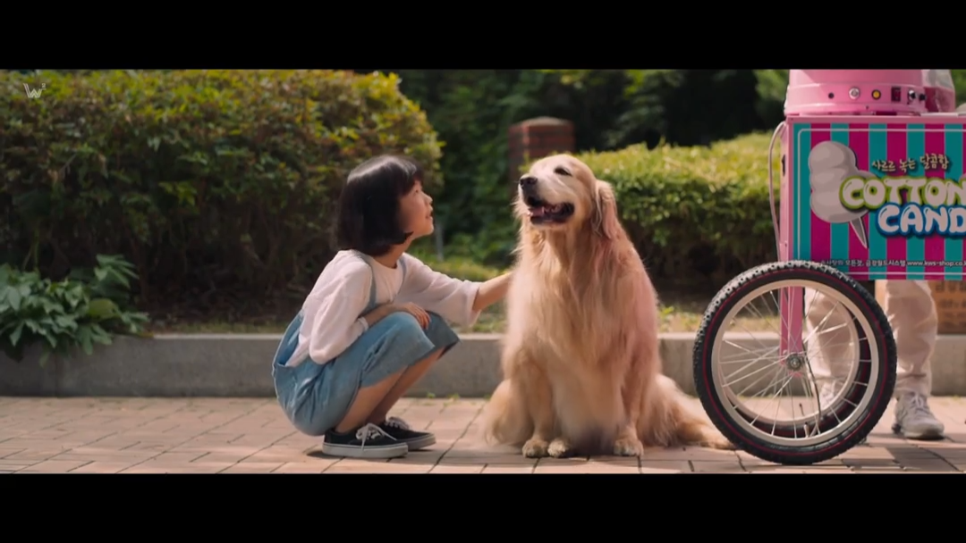 常春藤剧照的剧照