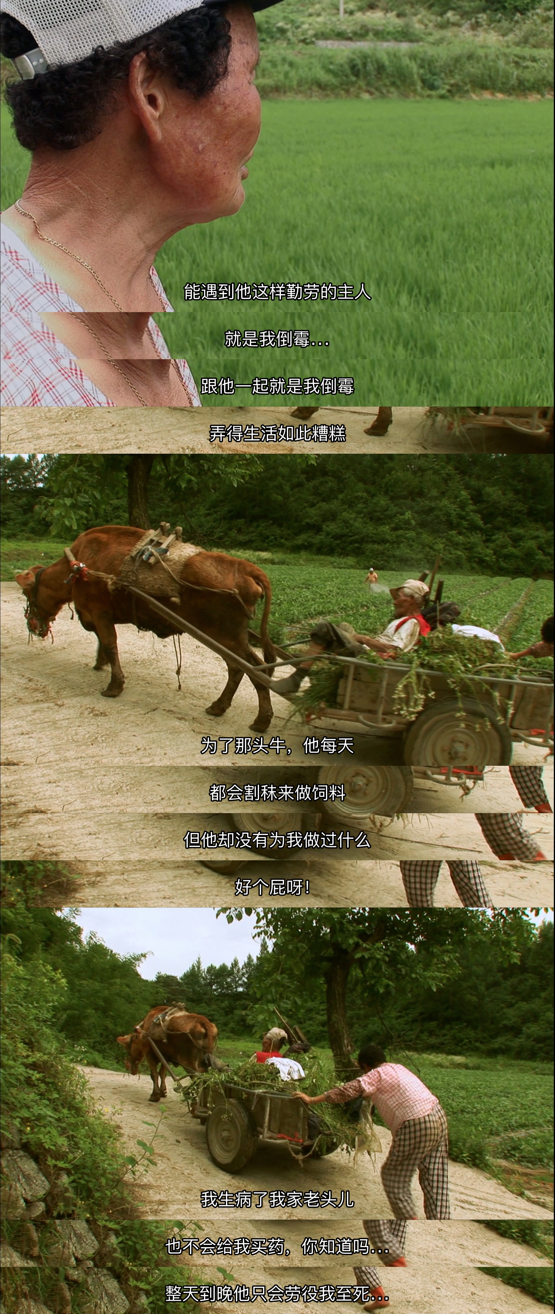 牛铃之声剧照的剧照