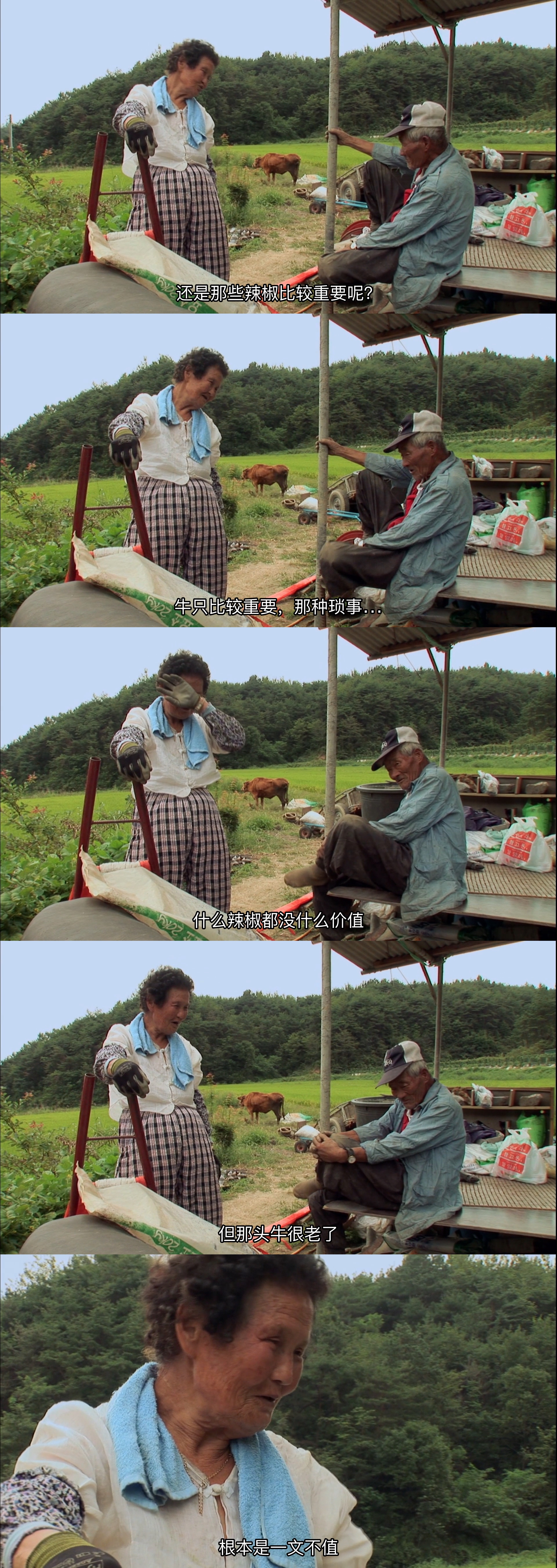 牛铃之声剧照的剧照