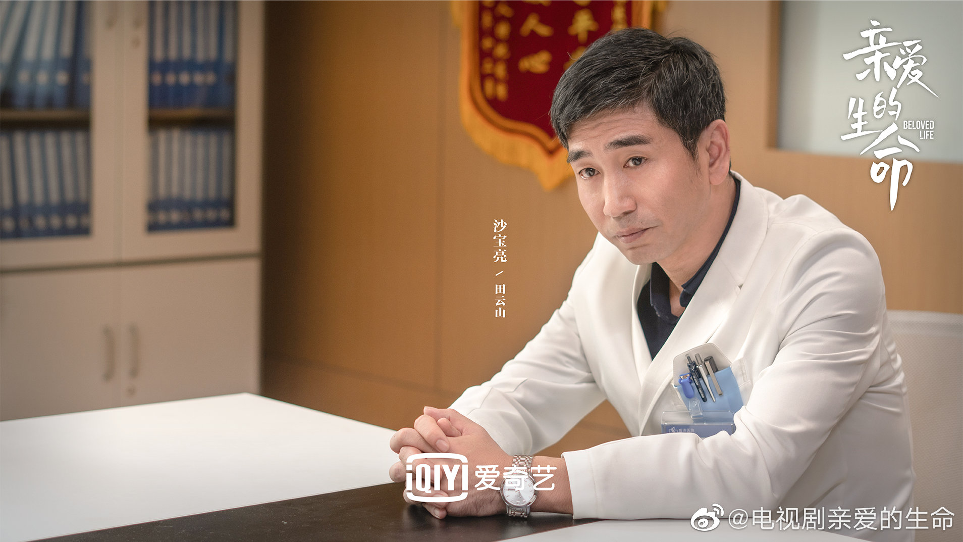 亲爱的生命的海报-角色海报