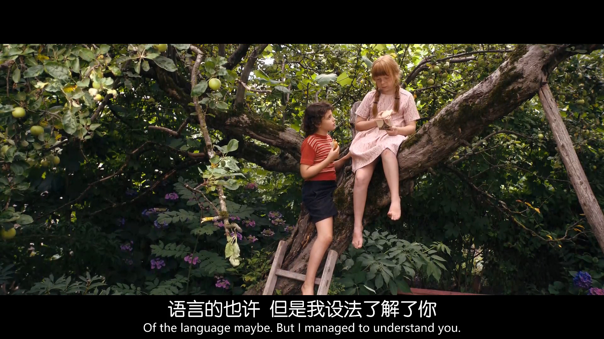 元首偷走了粉兔子剧照的剧照