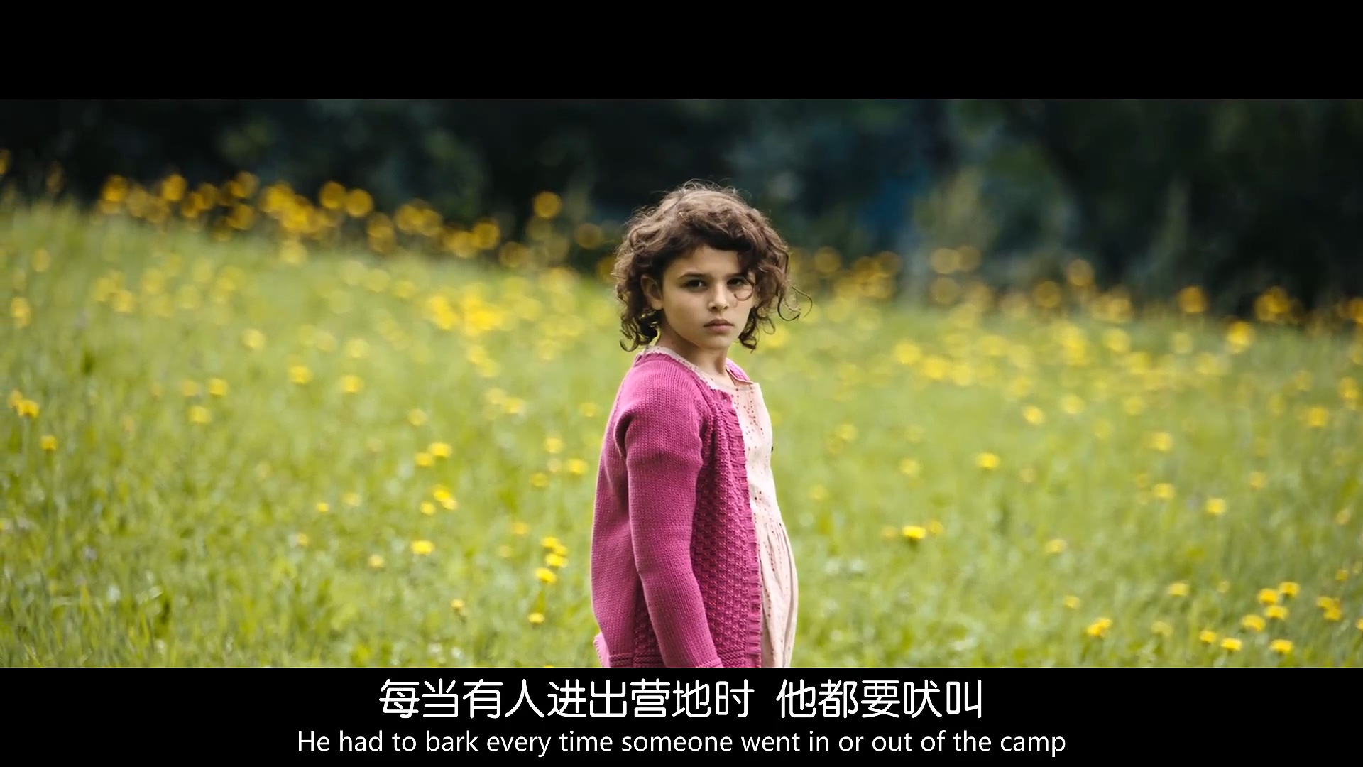 元首偷走了粉兔子剧照的剧照