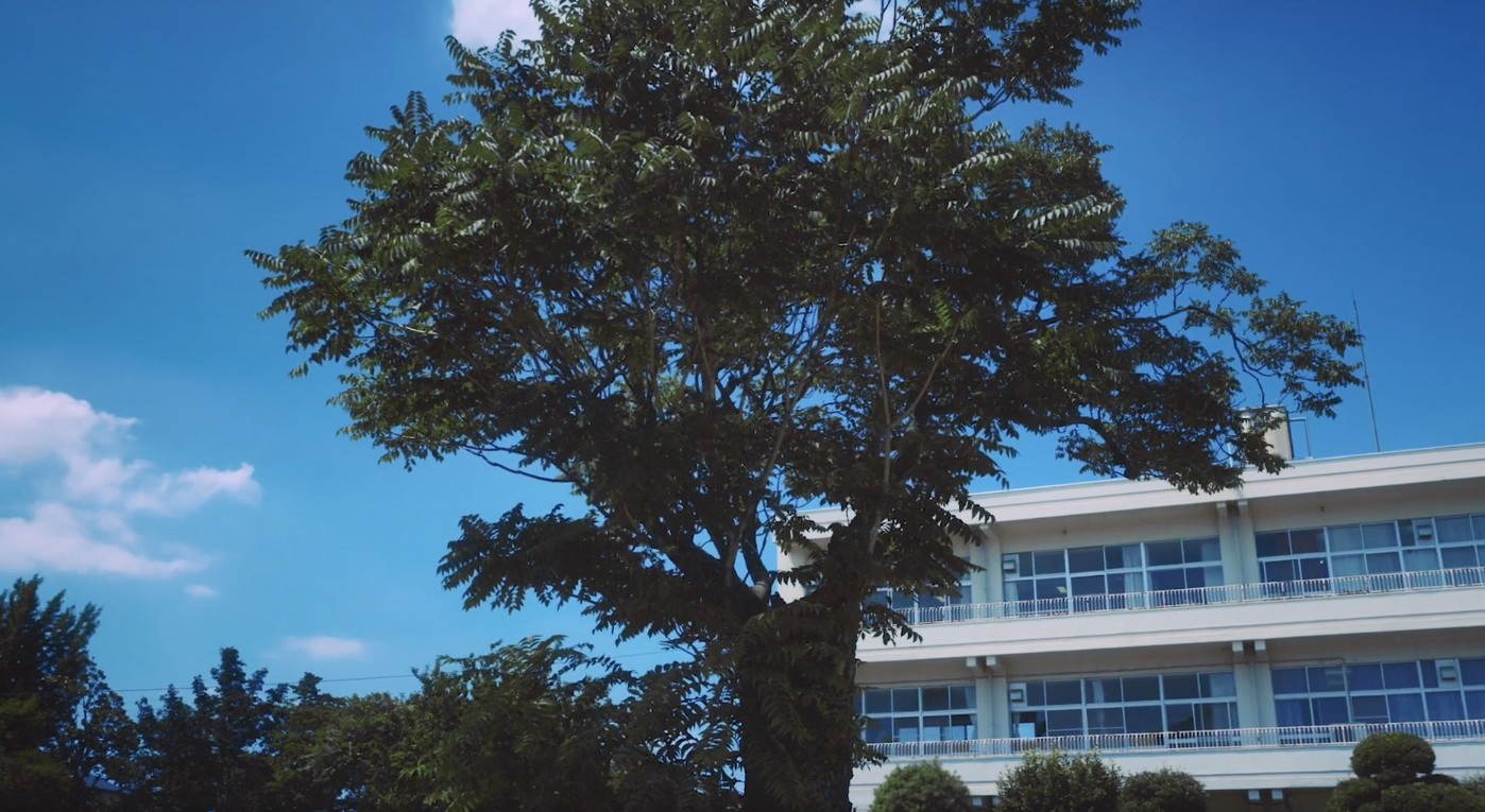美味的校餐 剧场版剧照的剧照