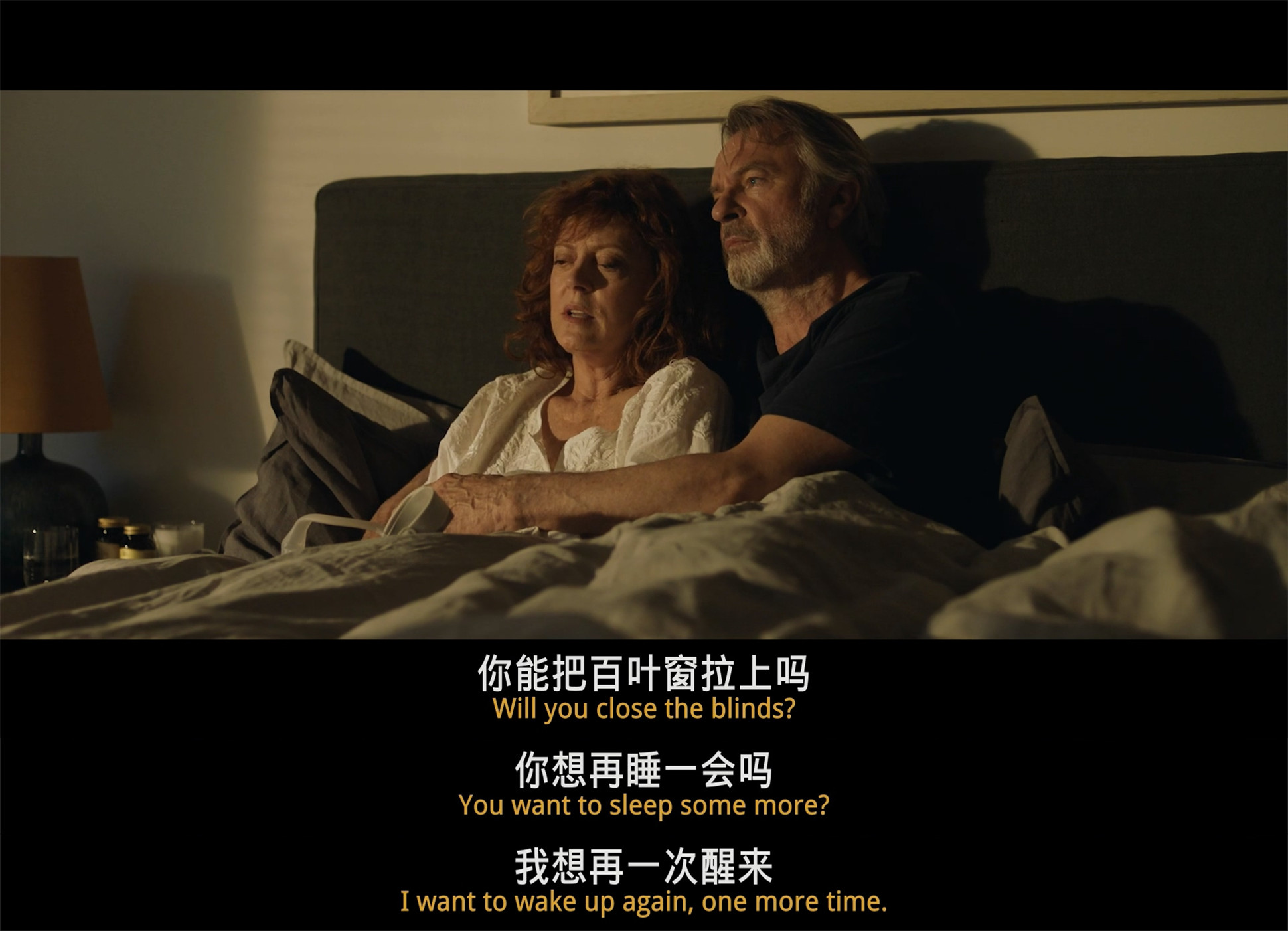 黑鸟剧照的剧照