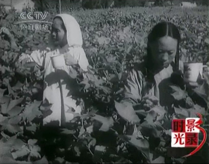 女英雄大会师剧照的剧照