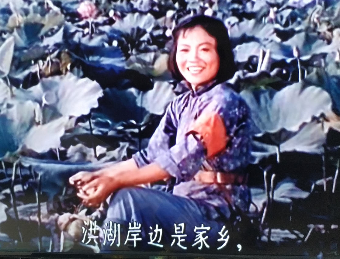 洪湖赤卫队剧照的剧照