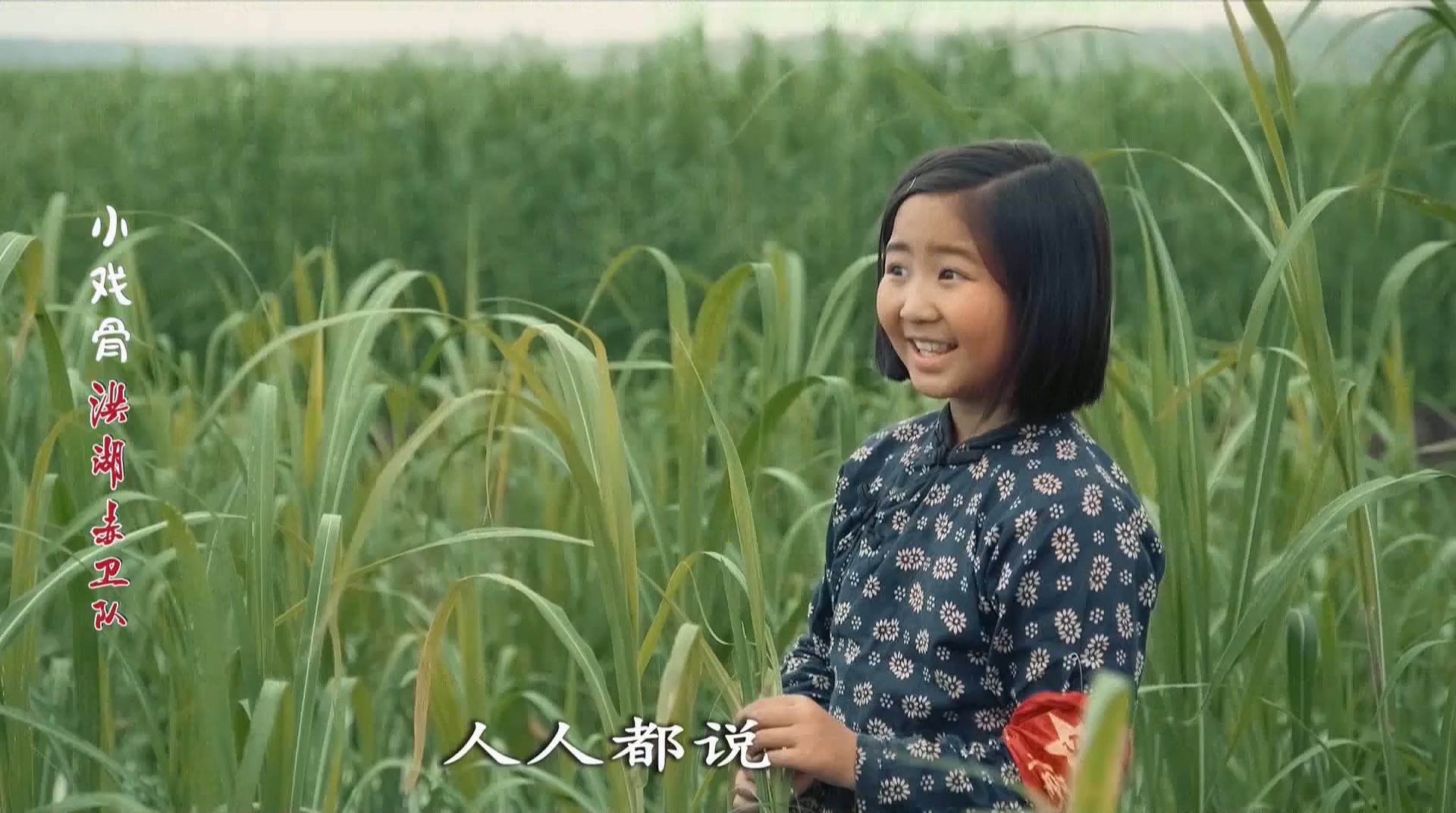 小戏骨：洪湖赤卫队剧照的剧照