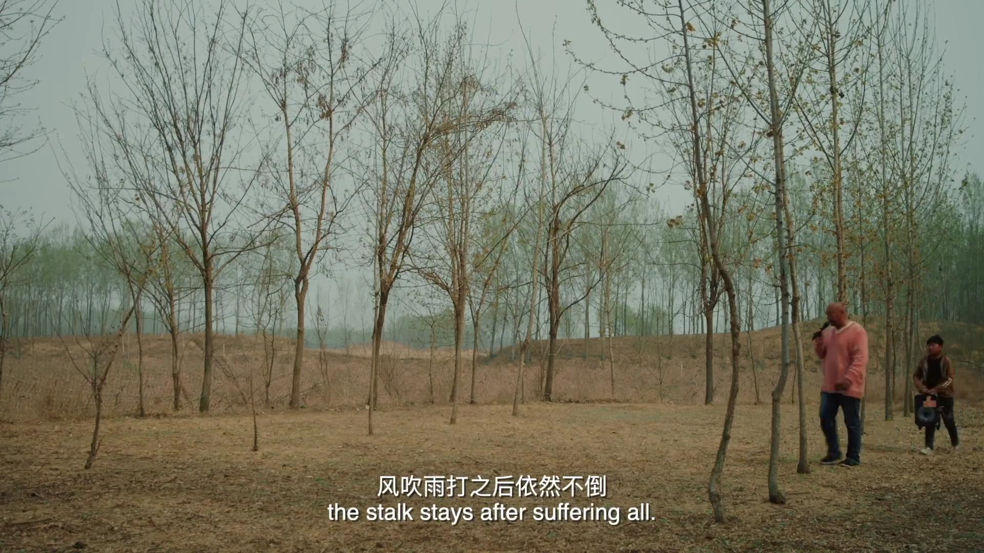 歌声缘何慢半拍剧照的剧照