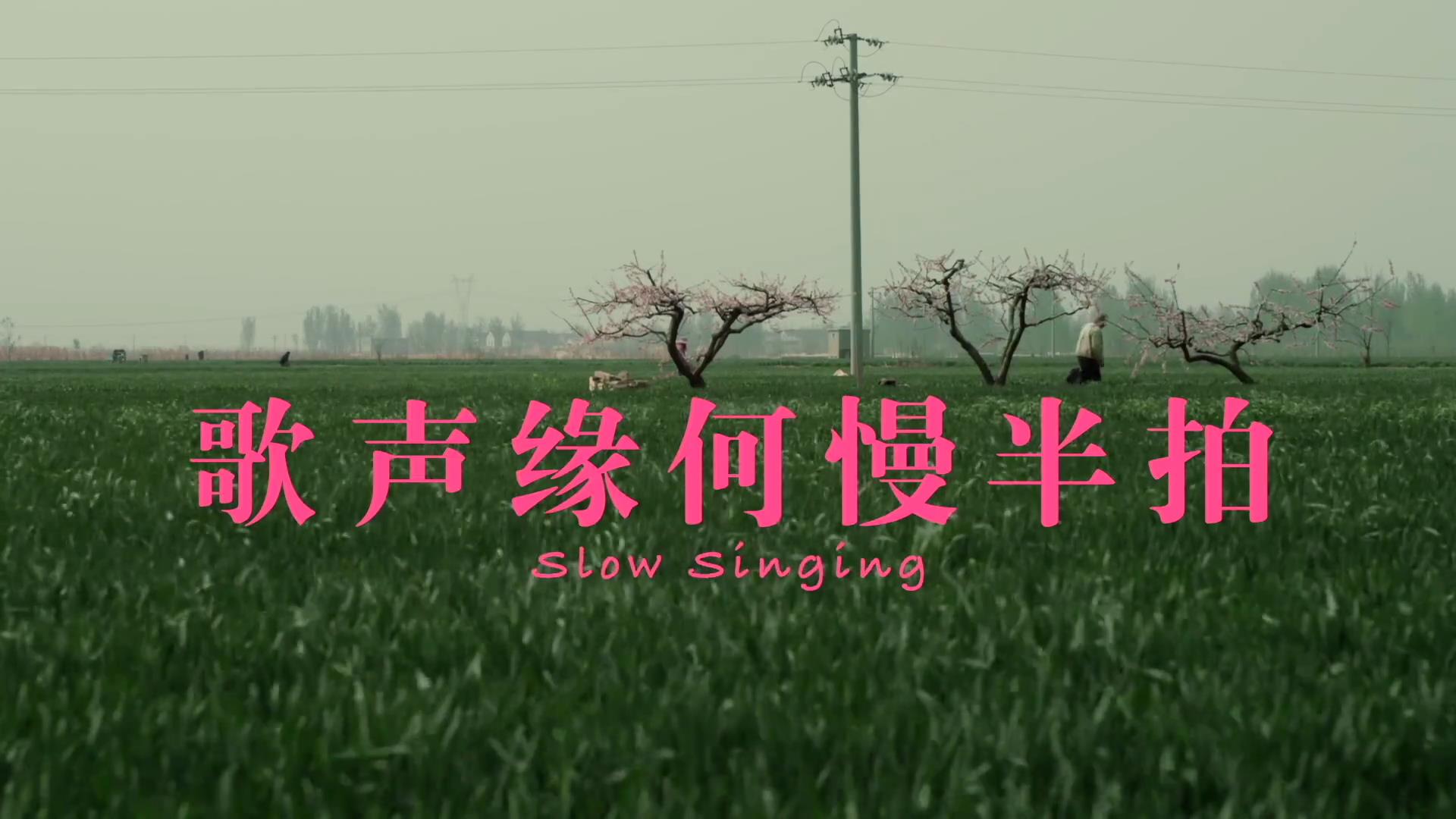 歌声缘何慢半拍剧照的剧照