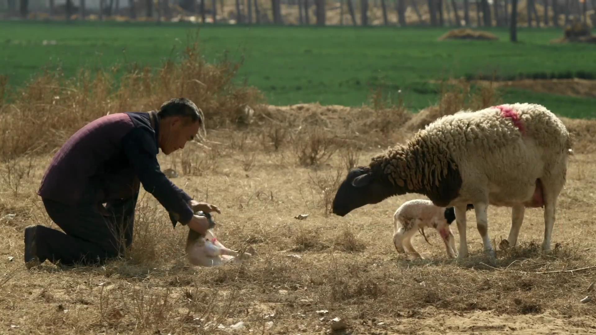 歌声缘何慢半拍剧照的剧照