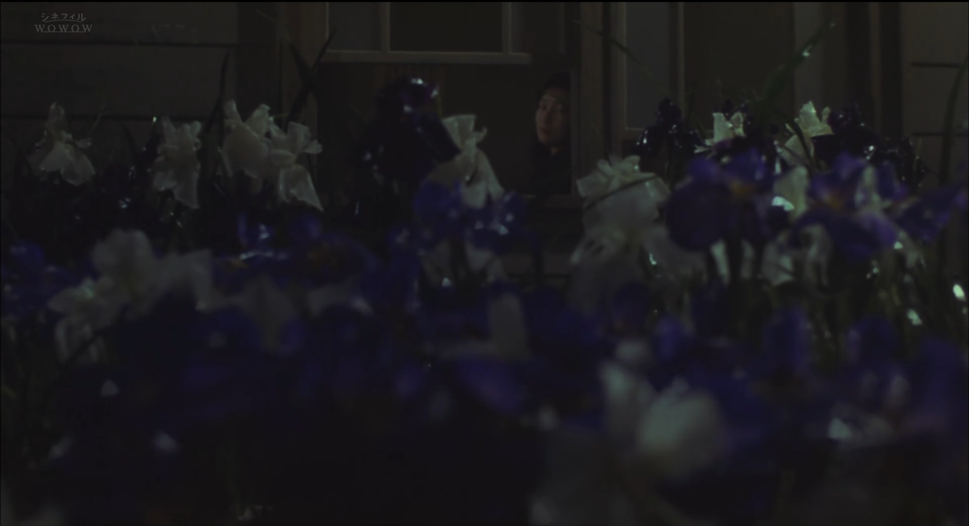 菖蒲之舟剧照的剧照