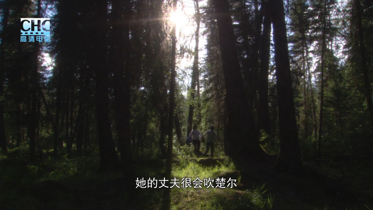 约定喀纳斯剧照的剧照