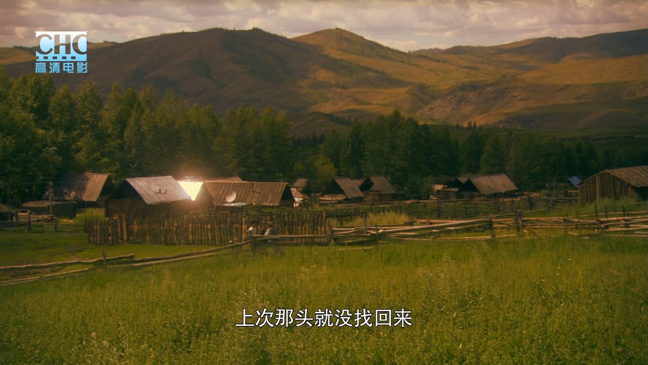 约定喀纳斯剧照的剧照