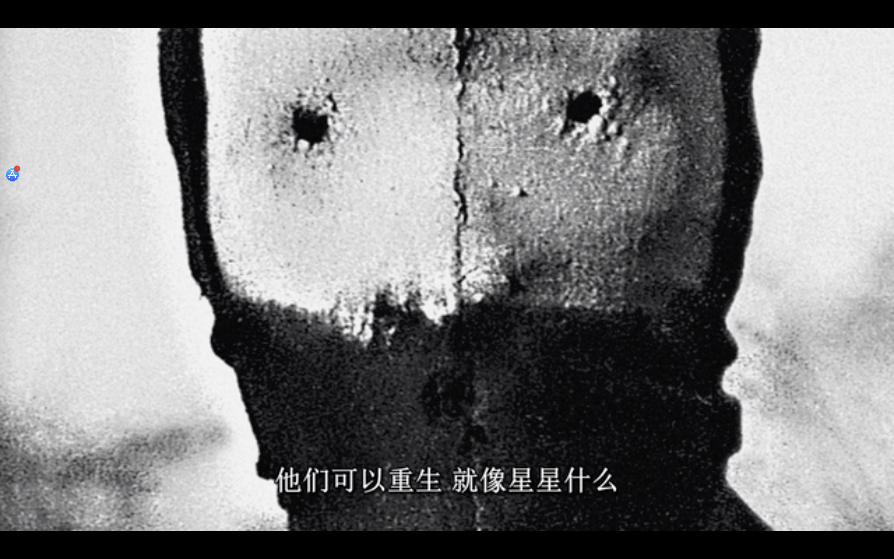 珍珠纽扣剧照的剧照
