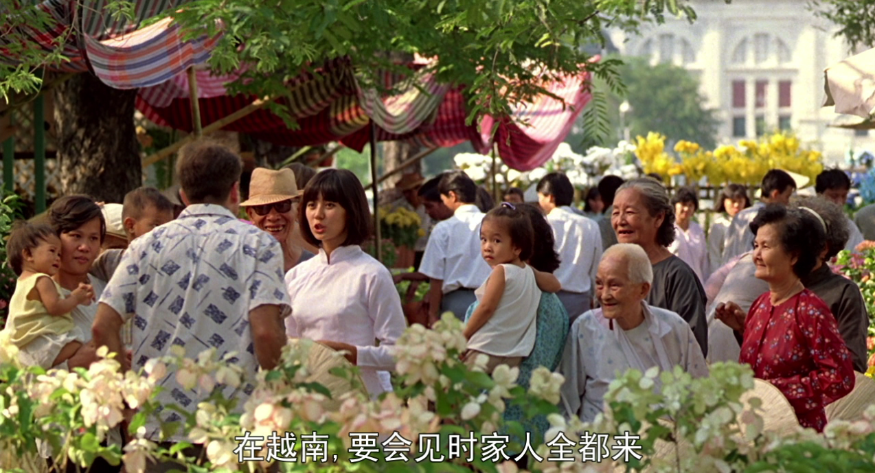 早安越南剧照的剧照