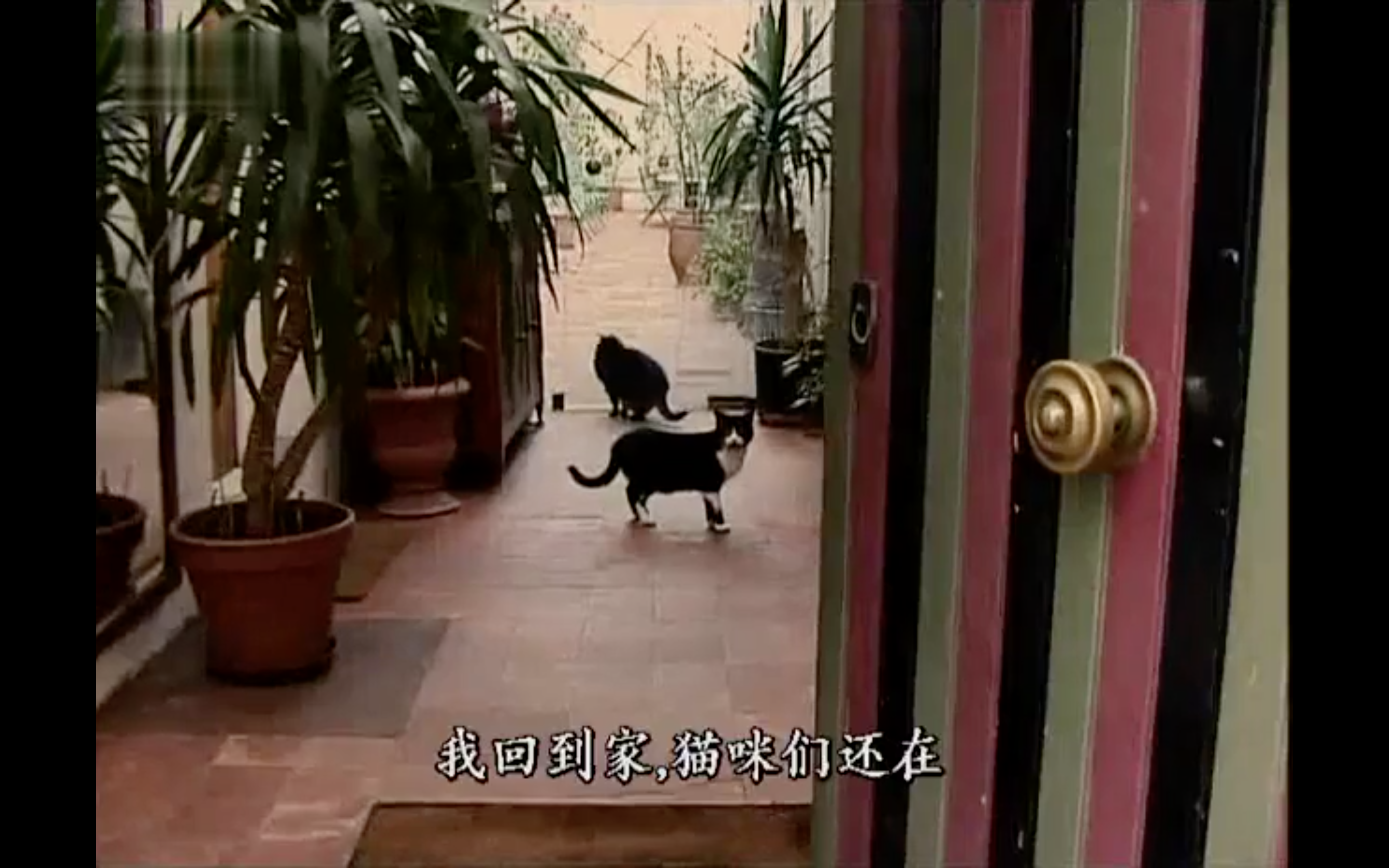 拾穗者剧照的剧照