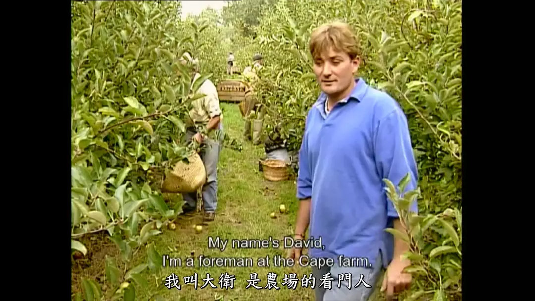 拾穗者剧照的剧照