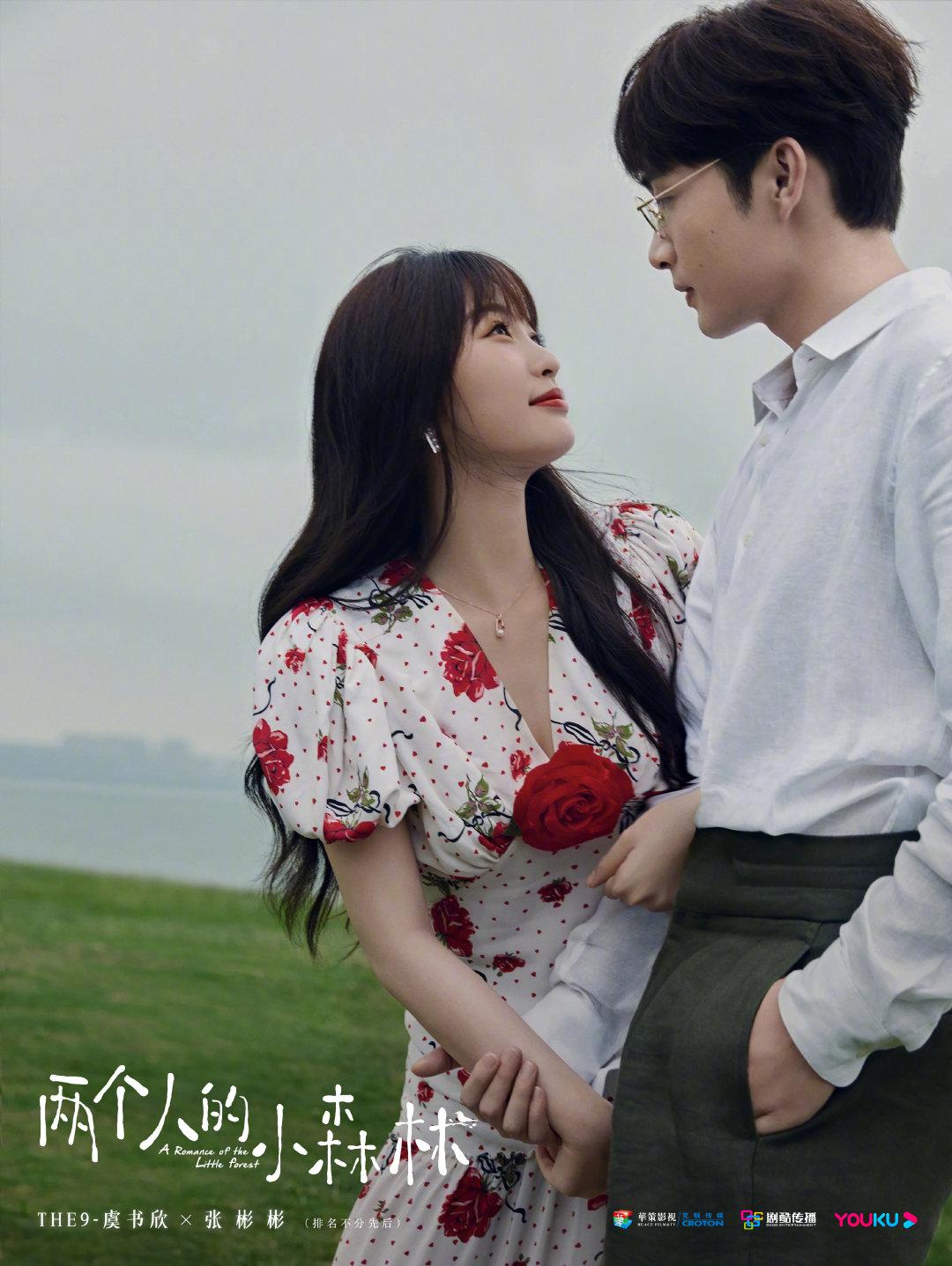 两个人的小森林的海报-正式海报