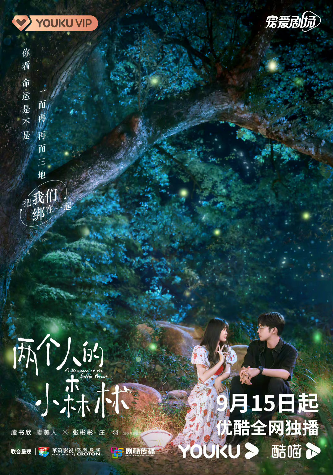 两个人的小森林的海报-预告海报 中国大陆