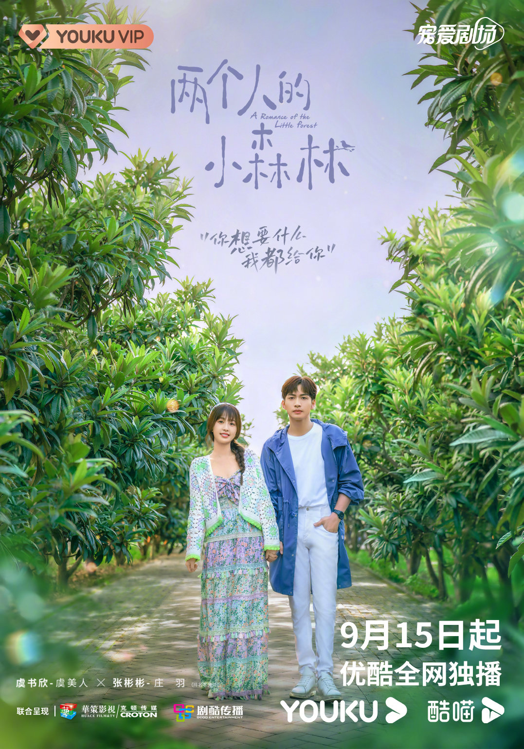 两个人的小森林的海报-预告海报 中国大陆