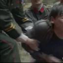 王紫逸