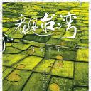 看见台湾