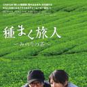 播种的旅人 美野里的茶