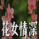 花女情深