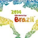 2014年国际足联巴西世界杯