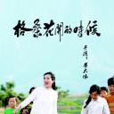 格桑花开的时候