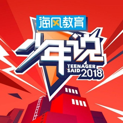 少年说的海报-正式海报