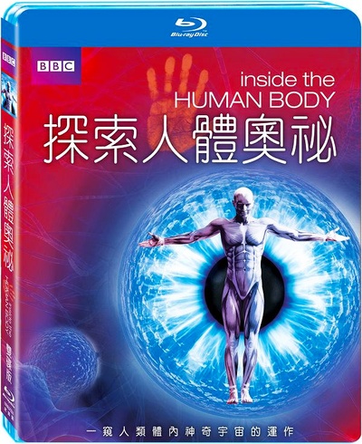 人体奥秘的海报-其他海报 英国