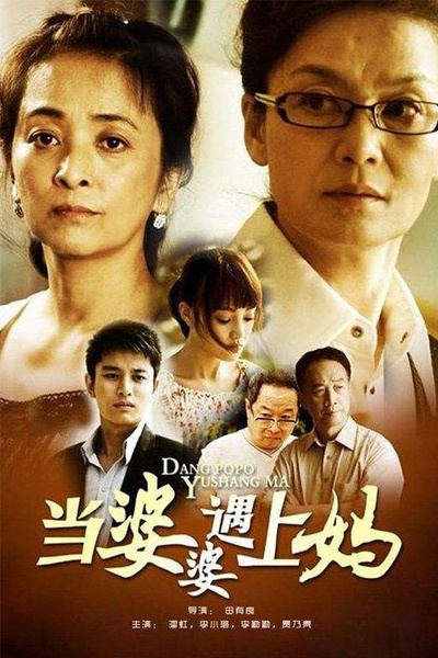 当婆婆遇上妈的海报-正式海报